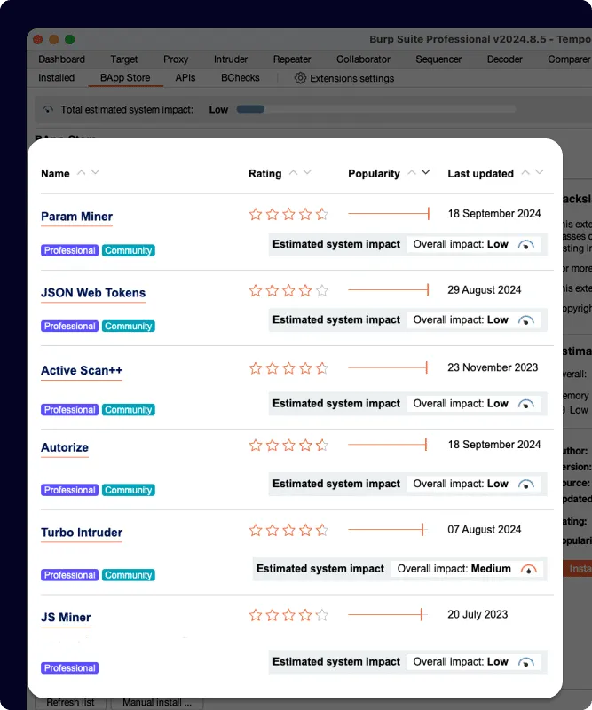 Burp Suite Professional - PortSwigger