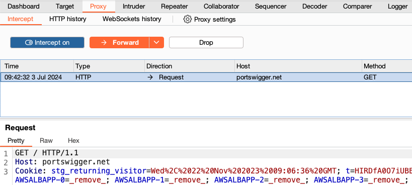 Burp Suite Professional - PortSwigger