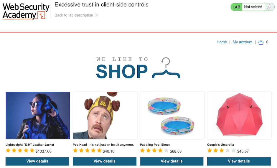 Vulnerable shopping website