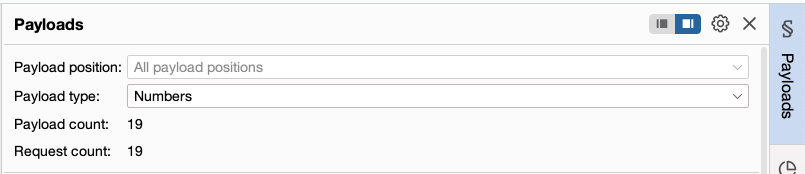 Setting the payload type enumerating