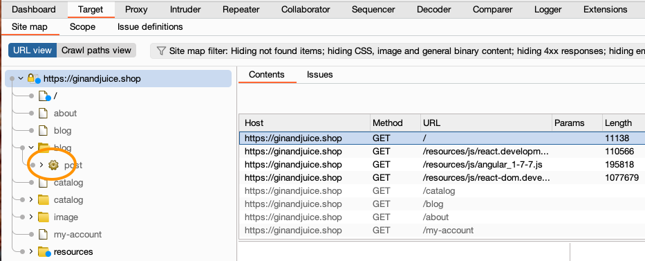 Testing with Burp Suite's Spider / Blogs / Perficient