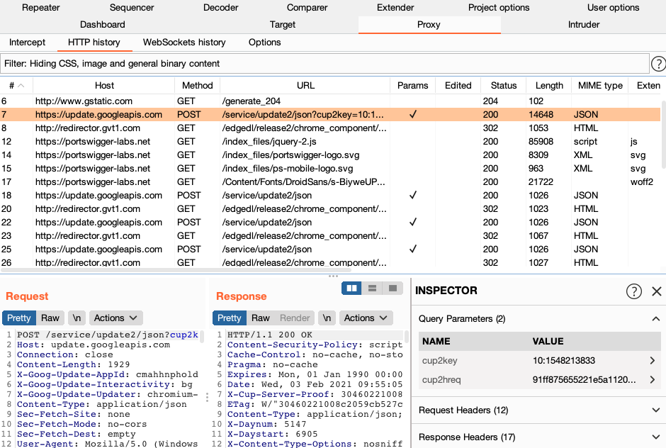 burp suite test website