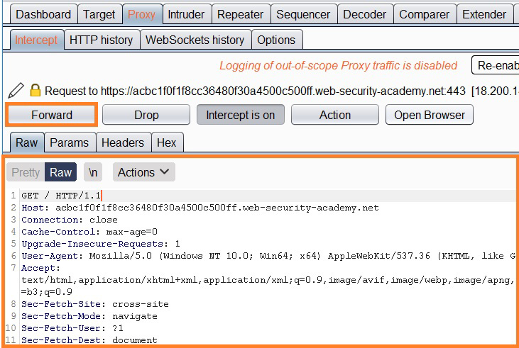 How To Use Burp Suite For Penetration Testing Portswigger - server sided script testing roblox