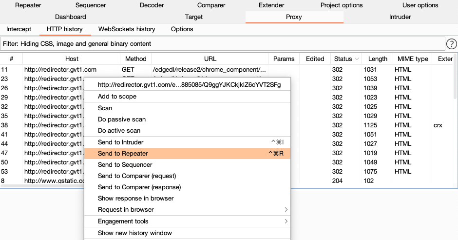 manually send request burp suite tryhackme