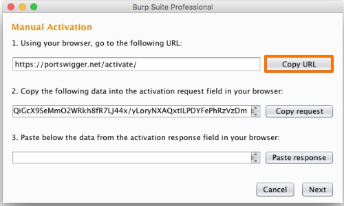 burp suite professional license key