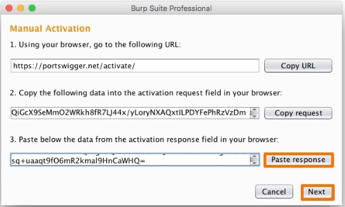 burp pro license