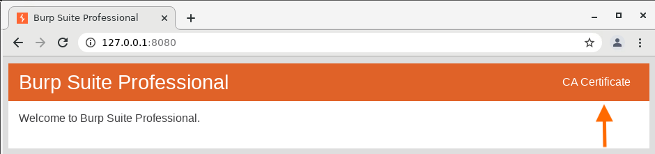 installing-burp-s-ca-certificate-in-chrome-portswigger
