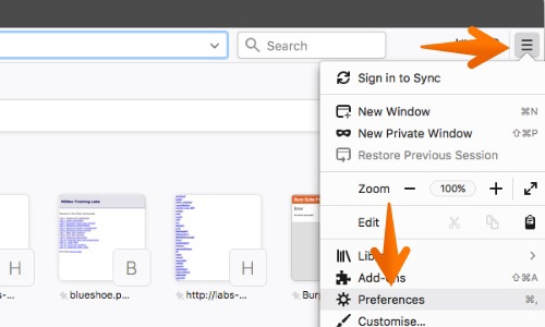 Firefox browser preferences