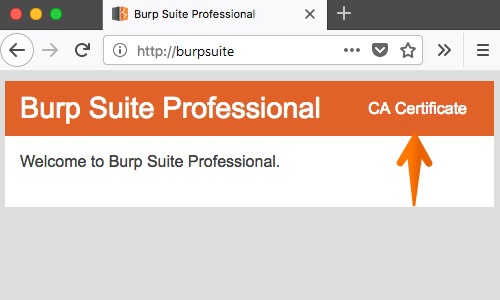 import burp suite certificate firefox