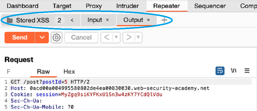 Stored XSS Repeater group