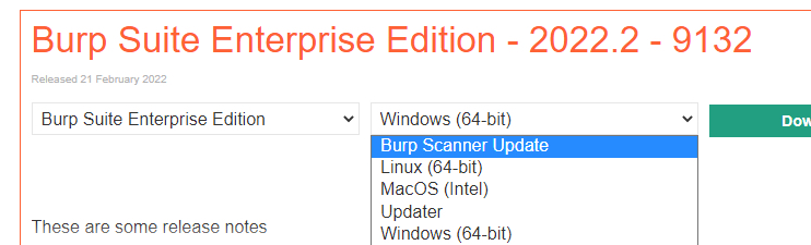Burp Scanner Update