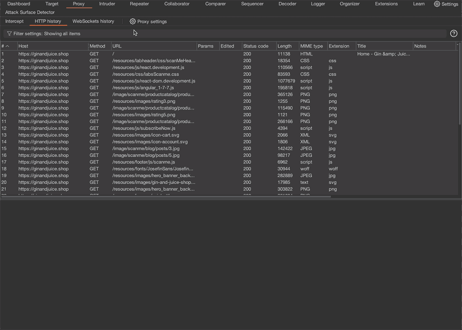 A video file showing how to create a HTTP history filter in Burp Suite's Proxy tool.