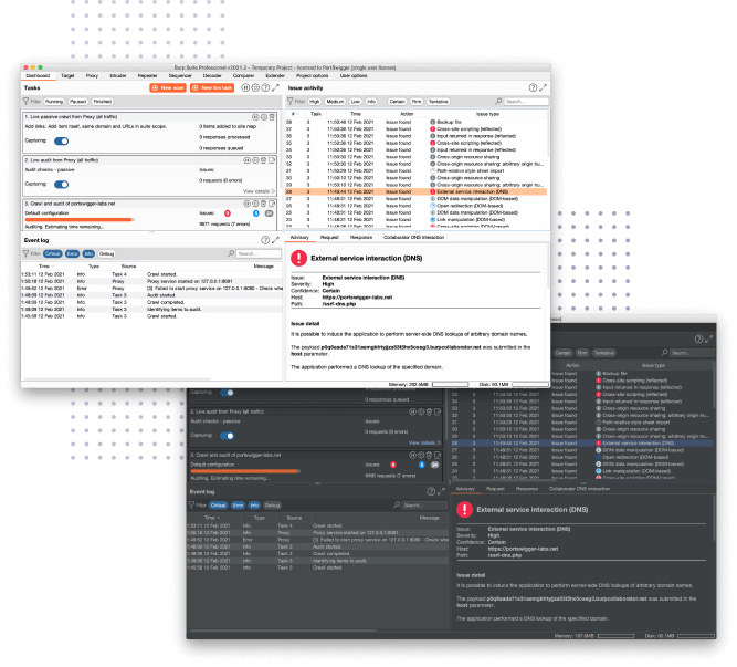 burp suite pro java version