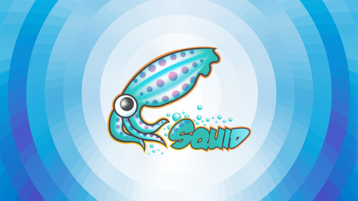 Squid web proxy logo