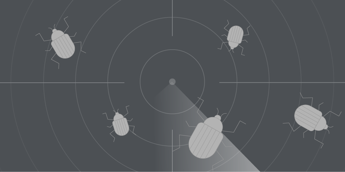 Bug bounty radar on grey background