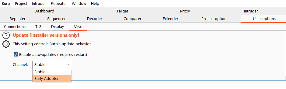 upgrade burpsuite from community edition to pro