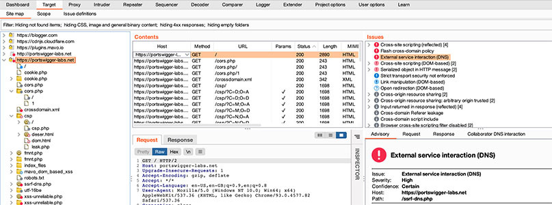 The Burp Suite Pro site map