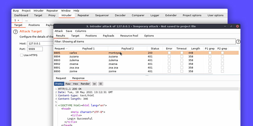 Burp Suite Professional - PortSwigger