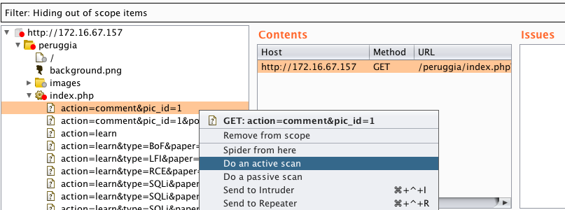 scan website with burp suite