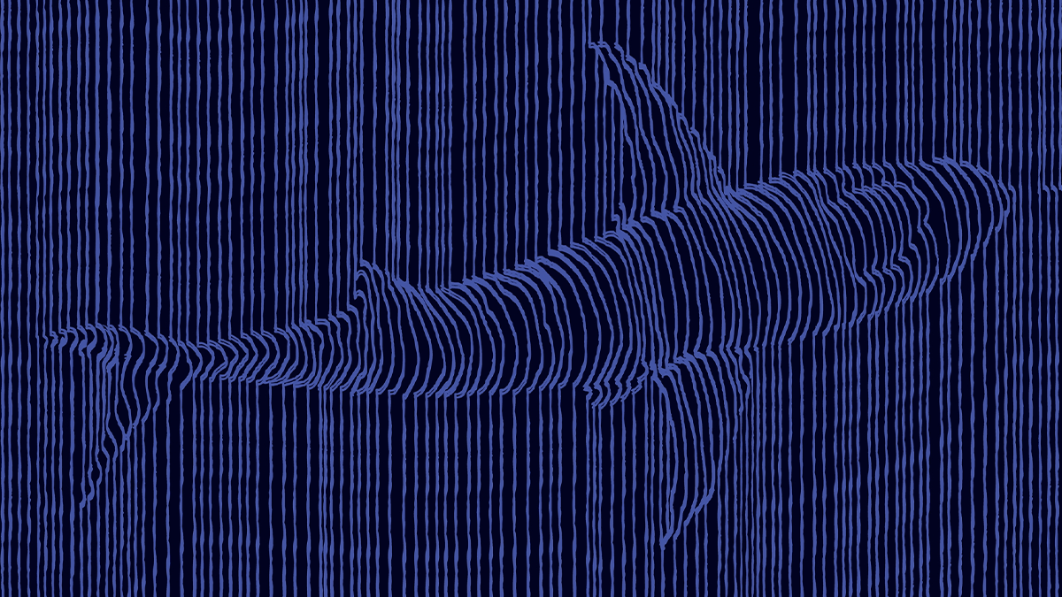 Malicious Wireshark packet capture files post potential risk, new research reveals
