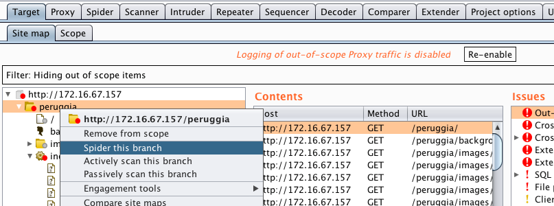 Testing with Burp Suite's Spider / Blogs / Perficient