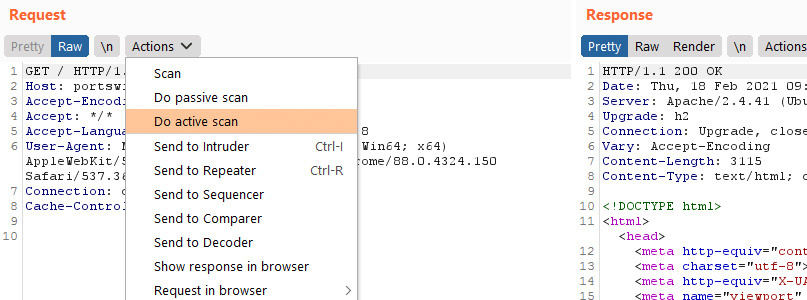 burp suite manual testing