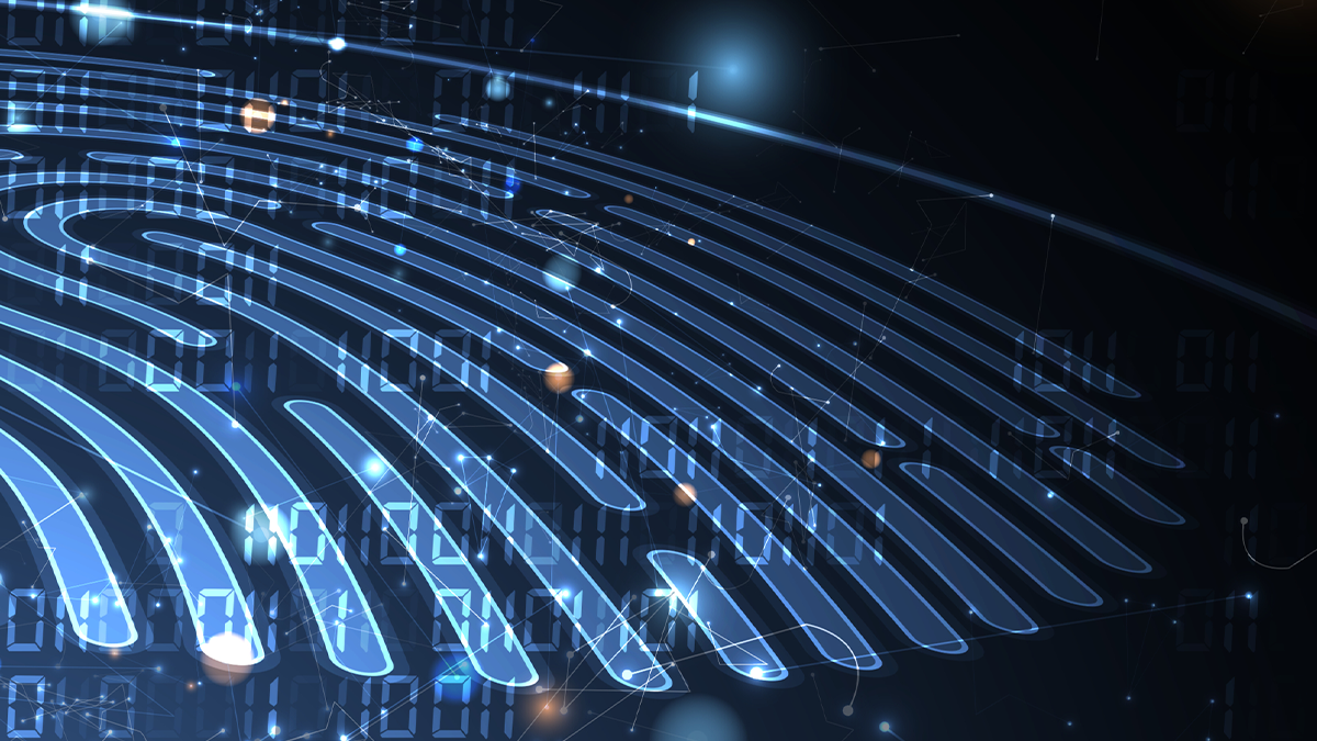 Vulnerabilities in biometric access control devices manufactured by IDEMIA could lead to remote code execution, denial of service, and the reading and writing of arbitrary files