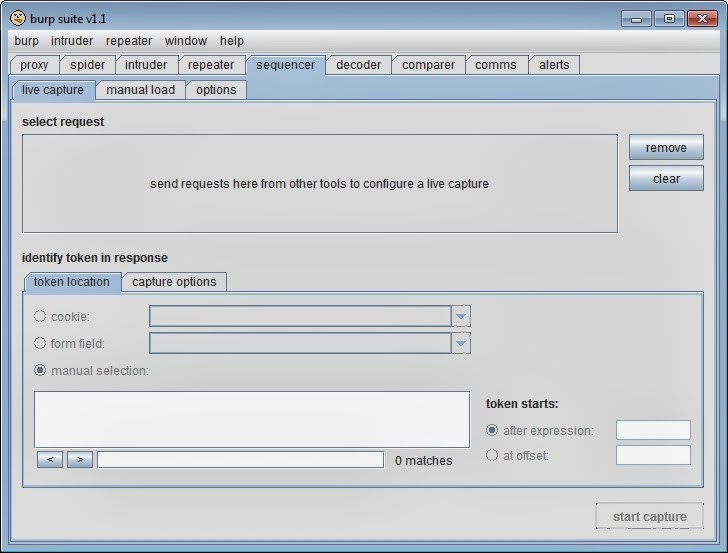 burp suite scanner pdf