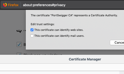 burp certificate install