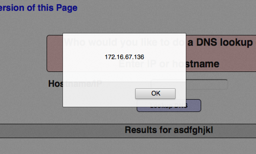 Methodology_Attacking_Users_XSS_Direct_6