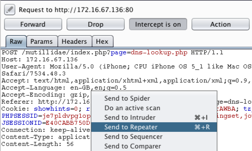 Burp suite pro hacks: XSS cheatsheet 