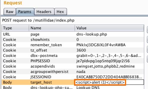 Methodology_Attacking_Users_XSS_Reflected_4