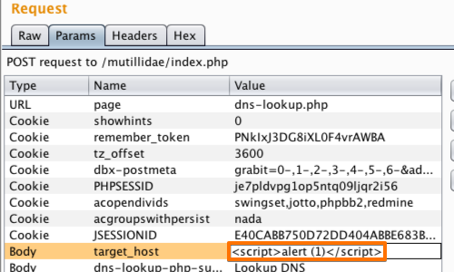 Burp suite pro hacks: XSS cheatsheet 