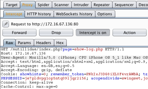 Cross Site Scripting Scanning - XSSS