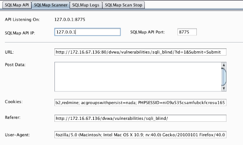 Methodology_BlindSQLExploit_9