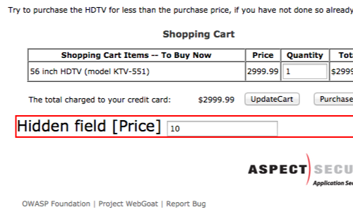 burp suite pro price