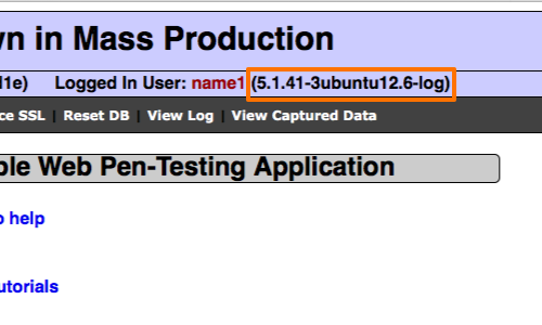 Methodology_SQLi_Statement_Types_5