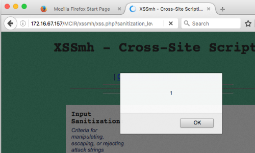 Aylin D. on LinkedIn: PortSwigger - Cross-site scripting (XSS) cheat sheet