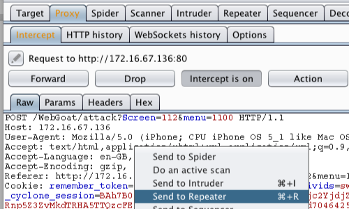 OWASP_Injection_6