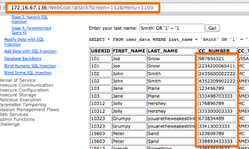 OWASP_Injection_9