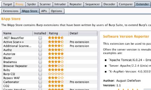 burp vulnerability scanner