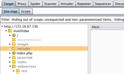 owasp top 10 portswigger