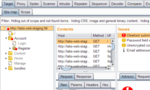 Using_Burp_Selenium_2