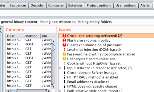 Using_Burp_Verify_1