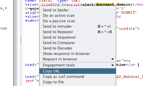 manually send request burp suite mode