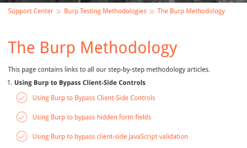 Using_Burp_Verify_8