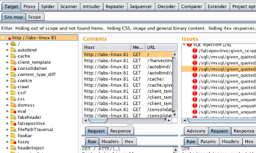 Recon and Analysis with Burp Suite - PortSwigger