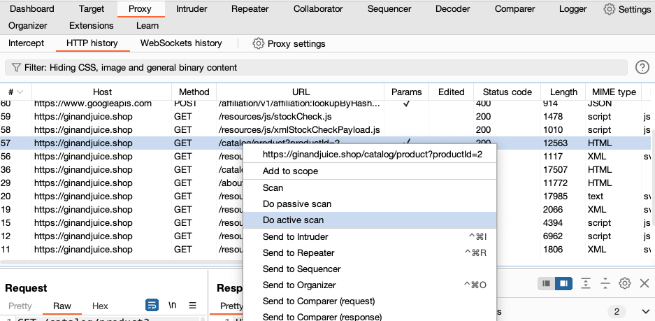 scan website with burp suite